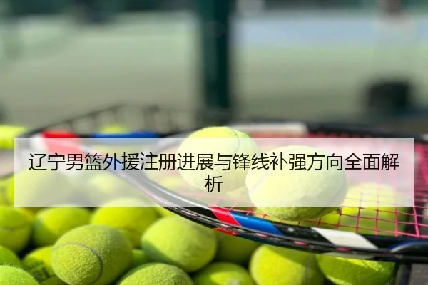 辽宁男篮外援注册进展与锋线补强方向全面解析